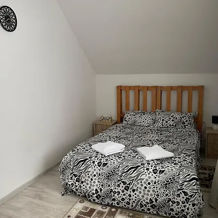 Holiday home Cabana Sirnea