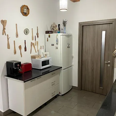 Holiday home Cabana Sirnea Sirnea