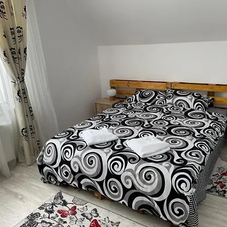 Cabana Sirnea Holiday home Sirnea